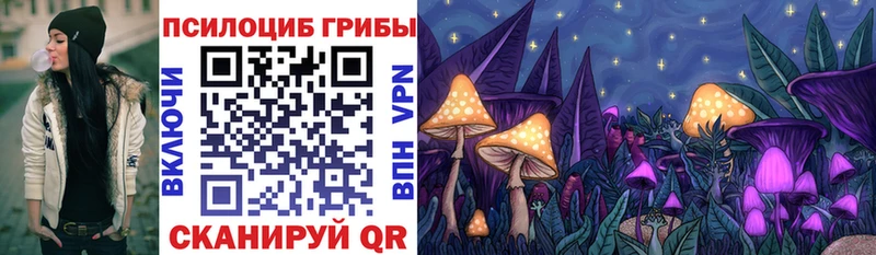 Псилоцибиновые грибы Cubensis Заинск