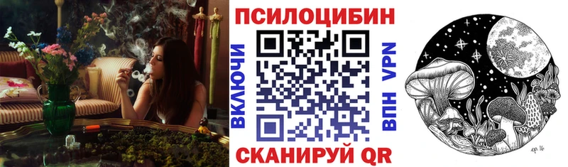 Псилоцибиновые грибы Magic Shrooms  закладка  Заинск 